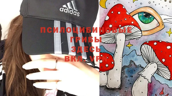 гашиш Пересвет