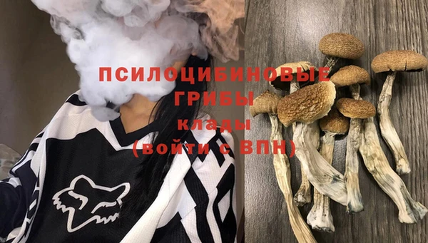 mix Пестово