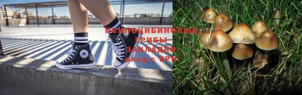 гашиш Переславль-Залесский