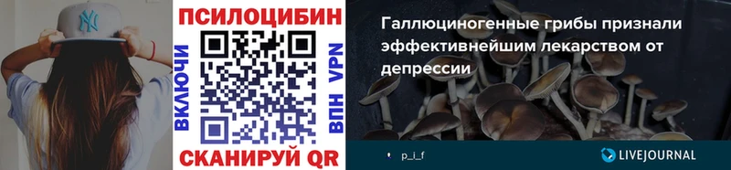 кракен рабочий сайт  Ставрополь  Псилоцибиновые грибы Psilocybine cubensis  даркнет сайт 