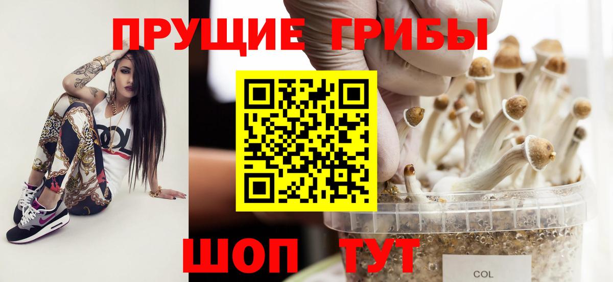 Галлюциногенные грибы Magic Shrooms  Вход с VPN  Ставрополь  купить наркотик  Псилоцибиновые грибы мухоморы 